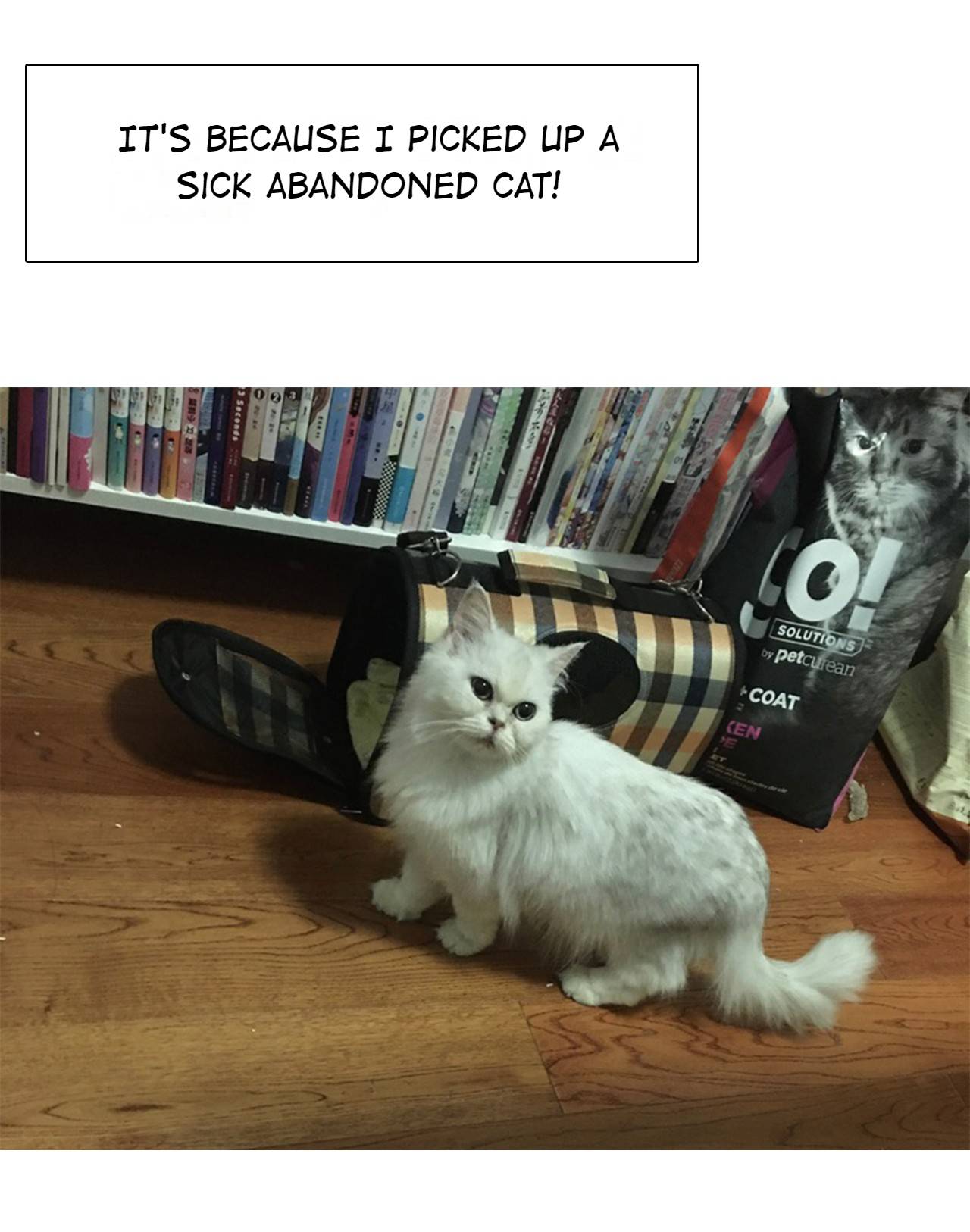 When I Traveled to Another World I Was Forced to Be the Princess of the City? chapter 14 - page 49