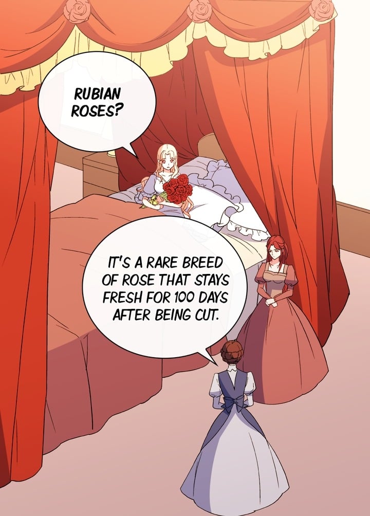 The Justice of Villainous Woman ( What It Takes to be a Villainess ) Chapter 35 - page 15