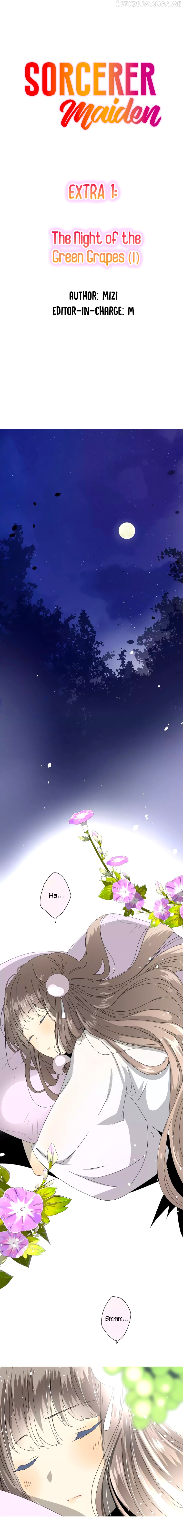 Sorcerer Maiden chapter 31.1 - page 3
