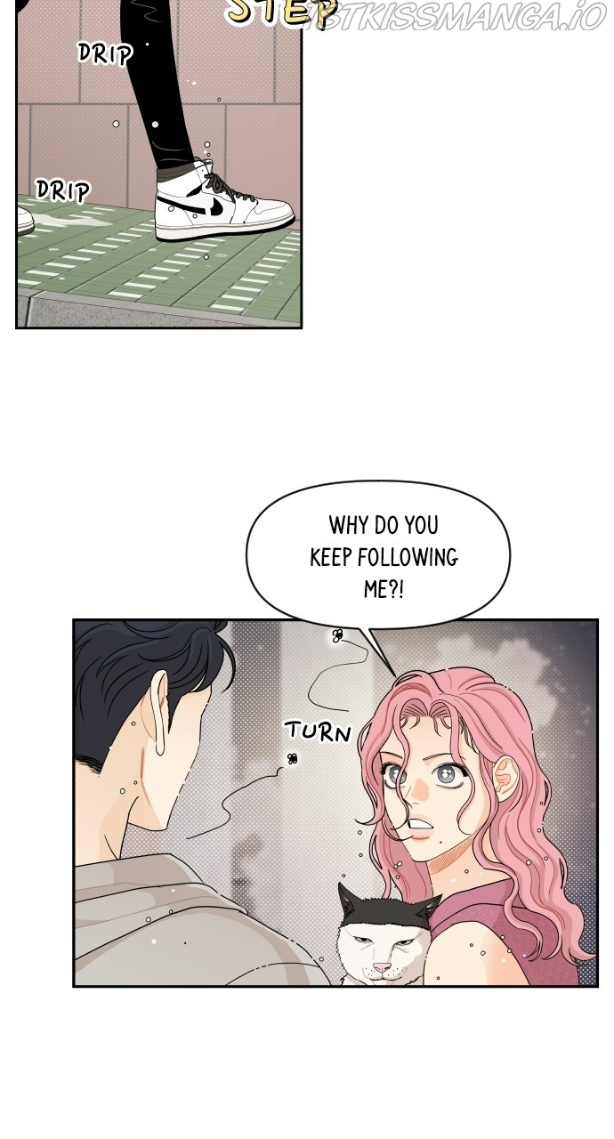 A Whirlwind Campus Affair chapter 32 - page 15