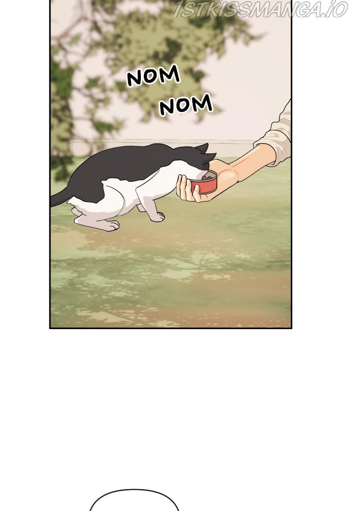A Whirlwind Campus Affair chapter 28 - page 58