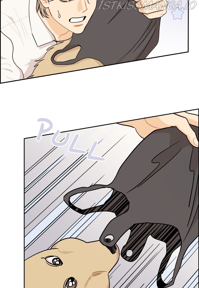 A Whirlwind Campus Affair chapter 23 - page 64
