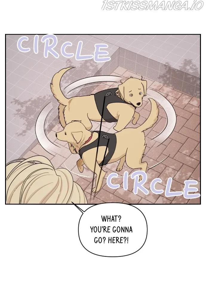 A Whirlwind Campus Affair chapter 20 - page 56