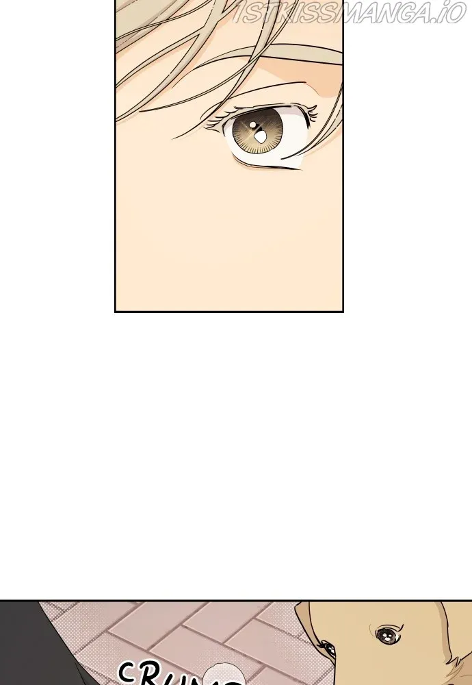 A Whirlwind Campus Affair chapter 20 - page 60