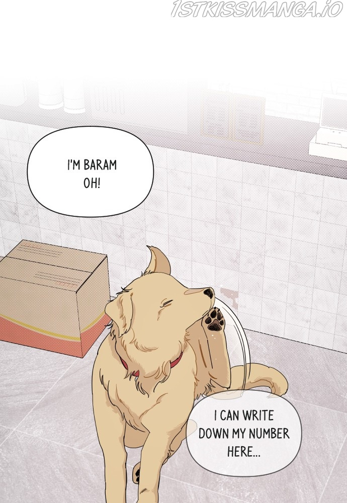 A Whirlwind Campus Affair chapter 15 - page 14