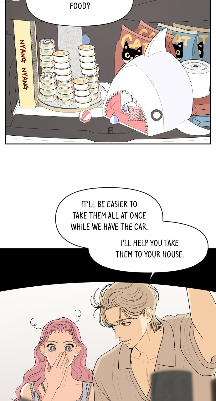 A Whirlwind Campus Affair chapter 35 - page 33