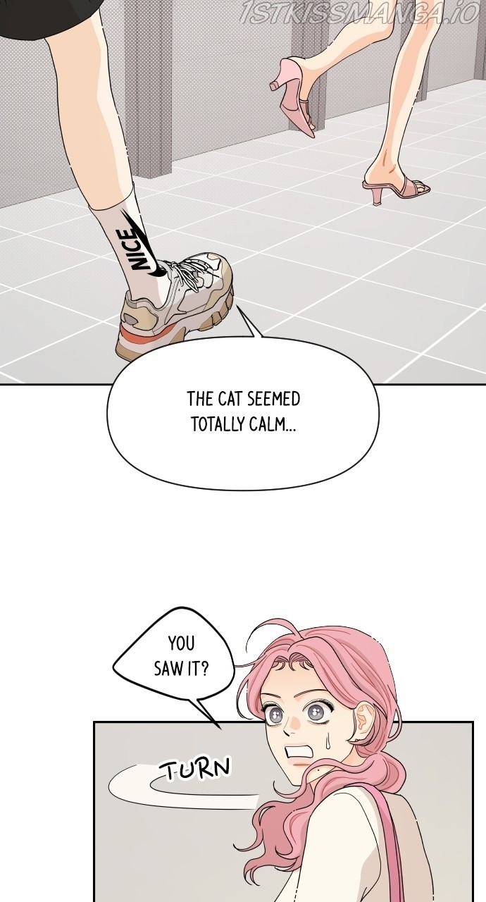 A Whirlwind Campus Affair chapter 33 - page 31
