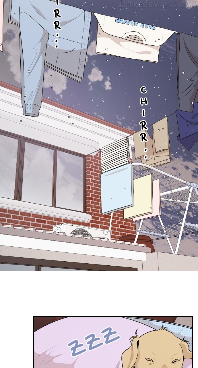 A Whirlwind Campus Affair Chapter 51 - page 5