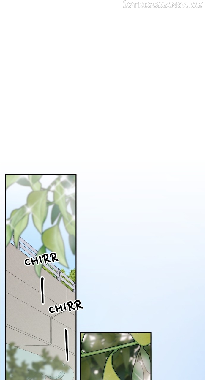 A Whirlwind Campus Affair Chapter 50 - page 19