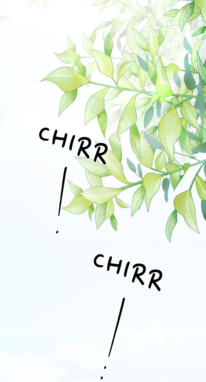 A Whirlwind Campus Affair chapter 45 - page 48