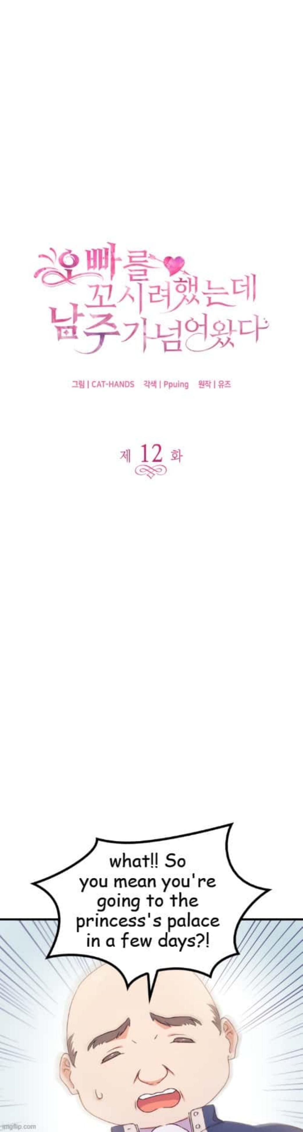 I Tried To Persuade My Brother And He Entrusted The Male Lead To Me Chapter 12 - page 4
