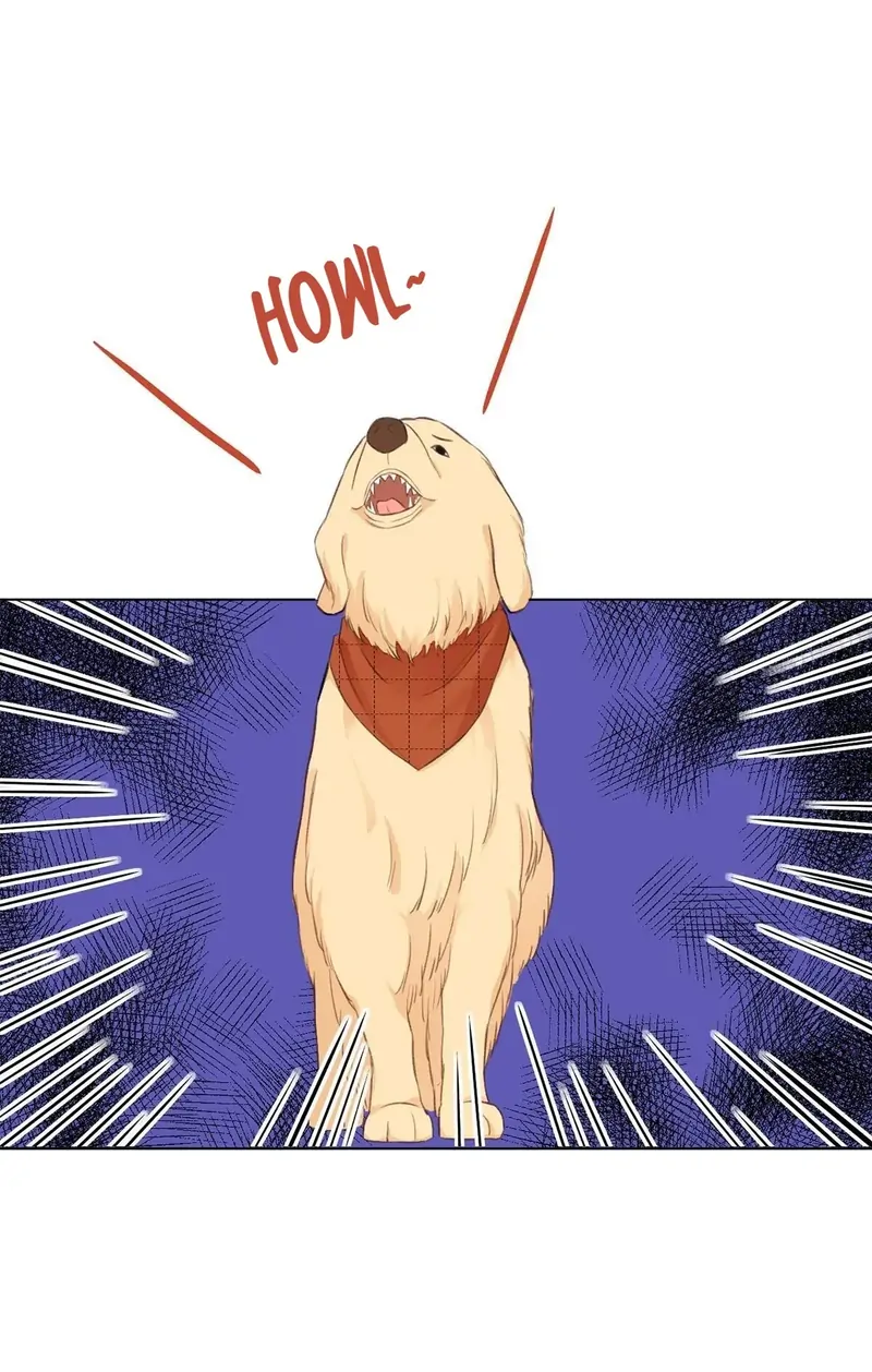 In the Name of Love Chapter 17 - page 16