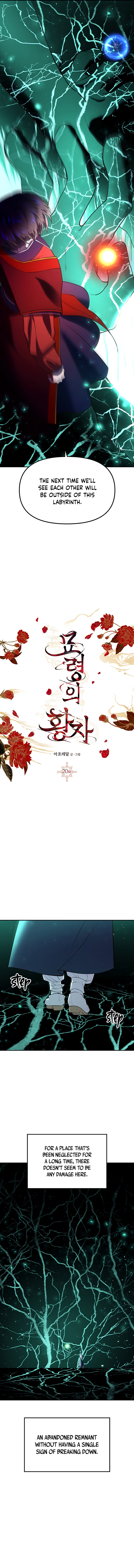 Mystic Prince chapter 20 - page 10