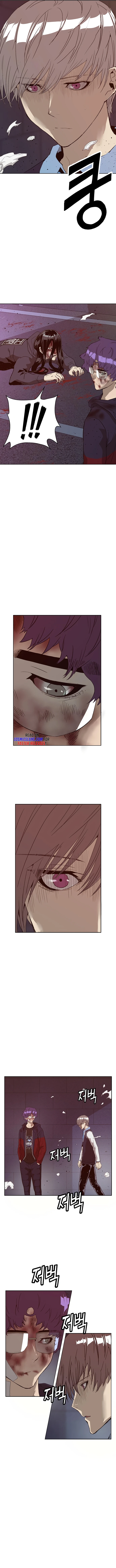 Weak Hero Chapter 227 - page 3