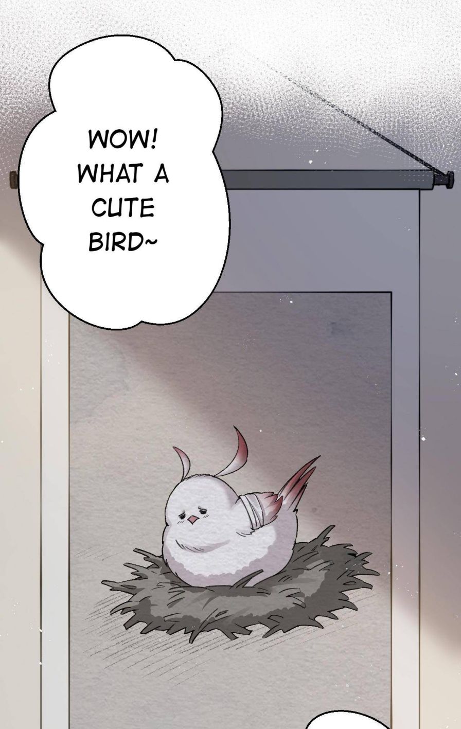 Good Disciple, Have Pity On Your Master! Chapter 9 - page 20