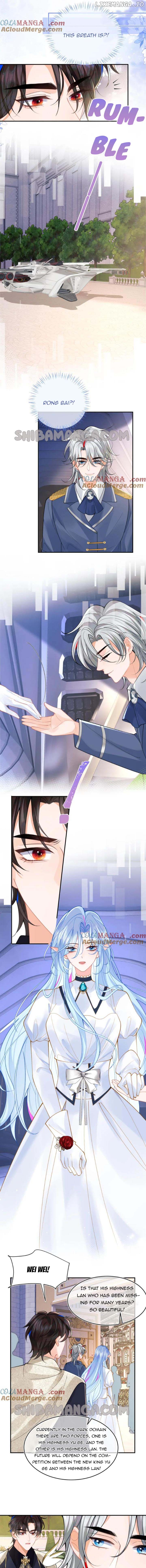The Cold Commander by Day Cries in My Arms at Night Chapter 71 - page 4