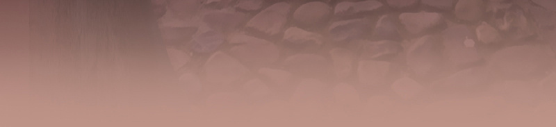 Not Even Bones chapter 10 - page 82