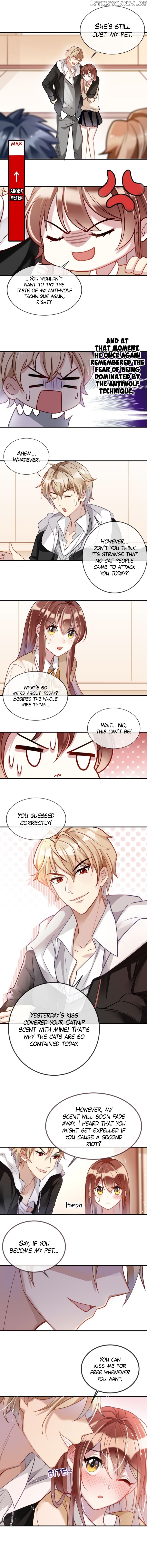 You Are My Catnip chapter 4 - page 7