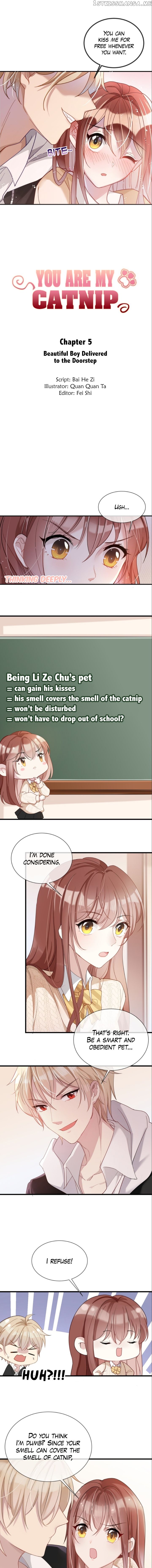 You Are My Catnip chapter 5 - page 1