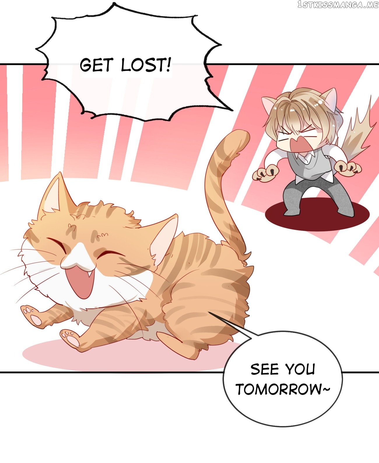 You Are My Catnip chapter 8 - page 24