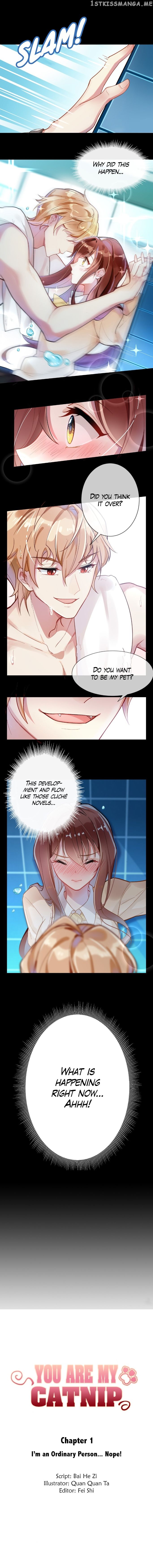 You Are My Catnip chapter 1 - page 1