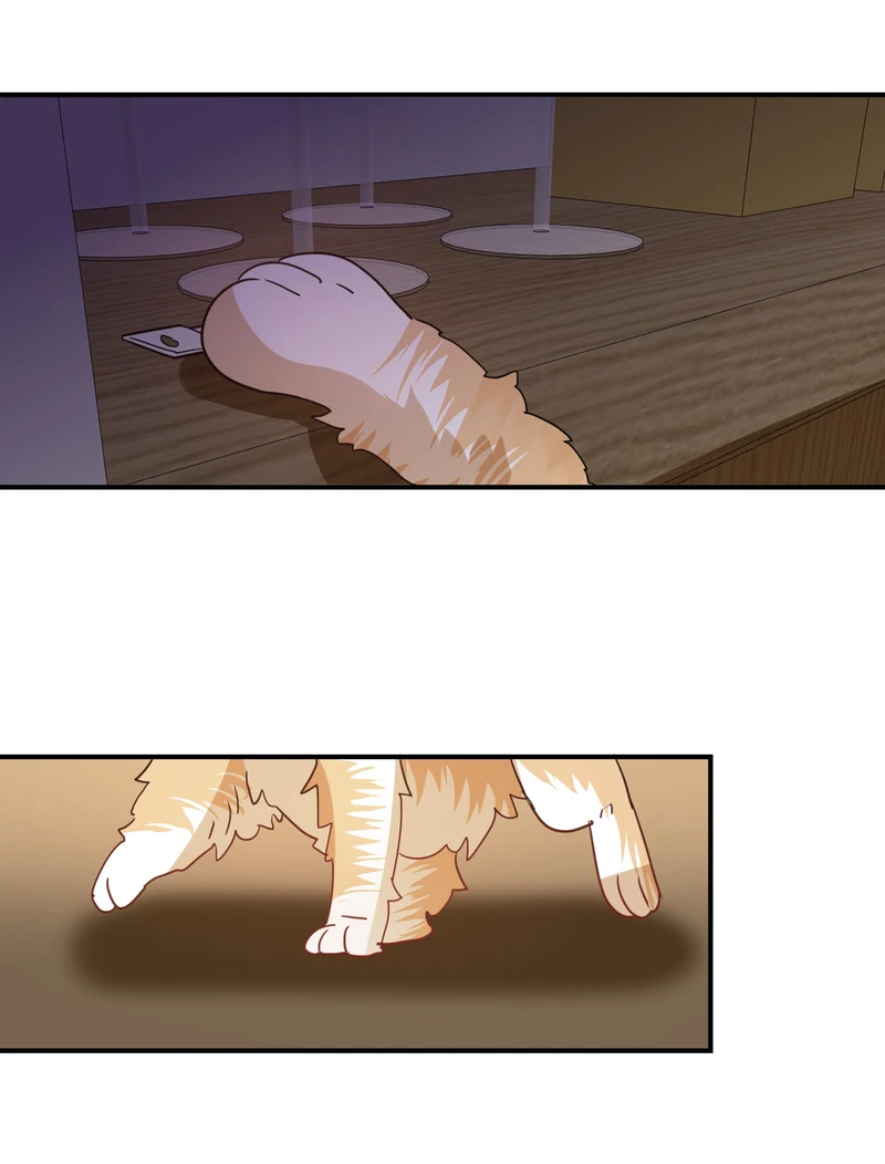 You Are My Catnip chapter 50 - page 20