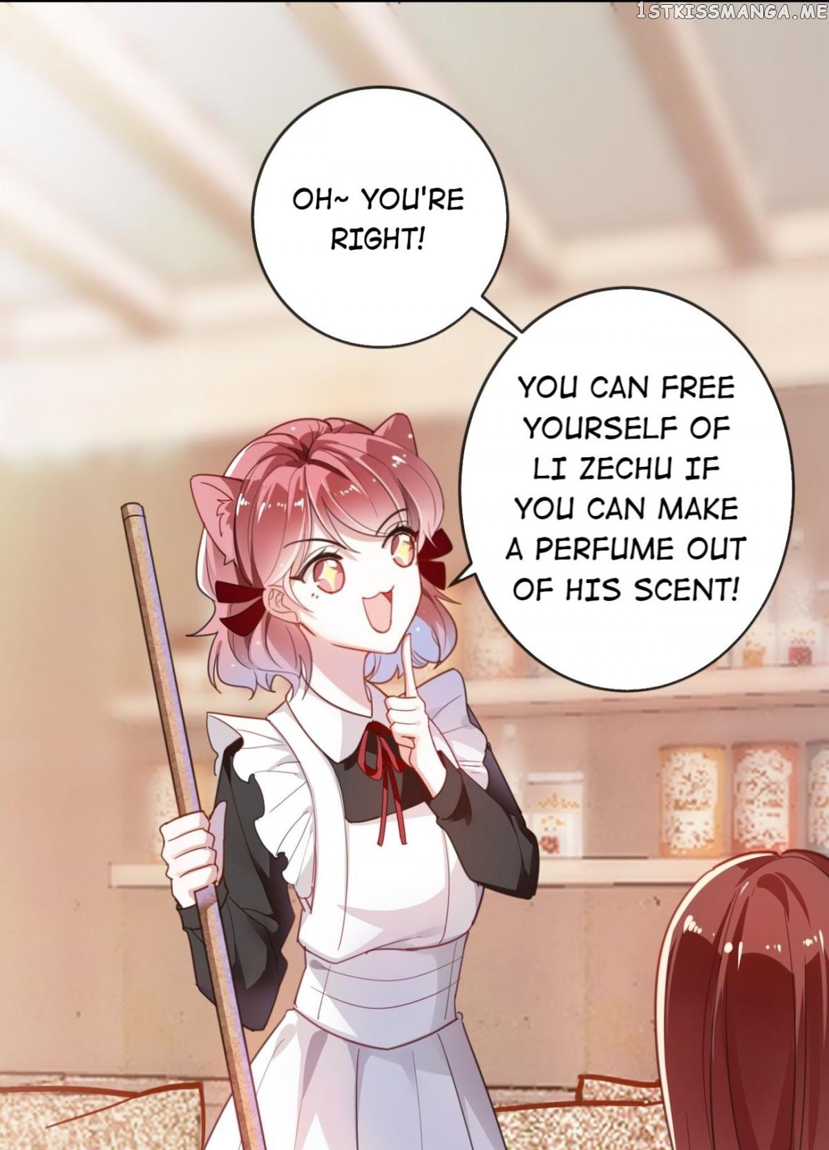 You Are My Catnip chapter 11 - page 14