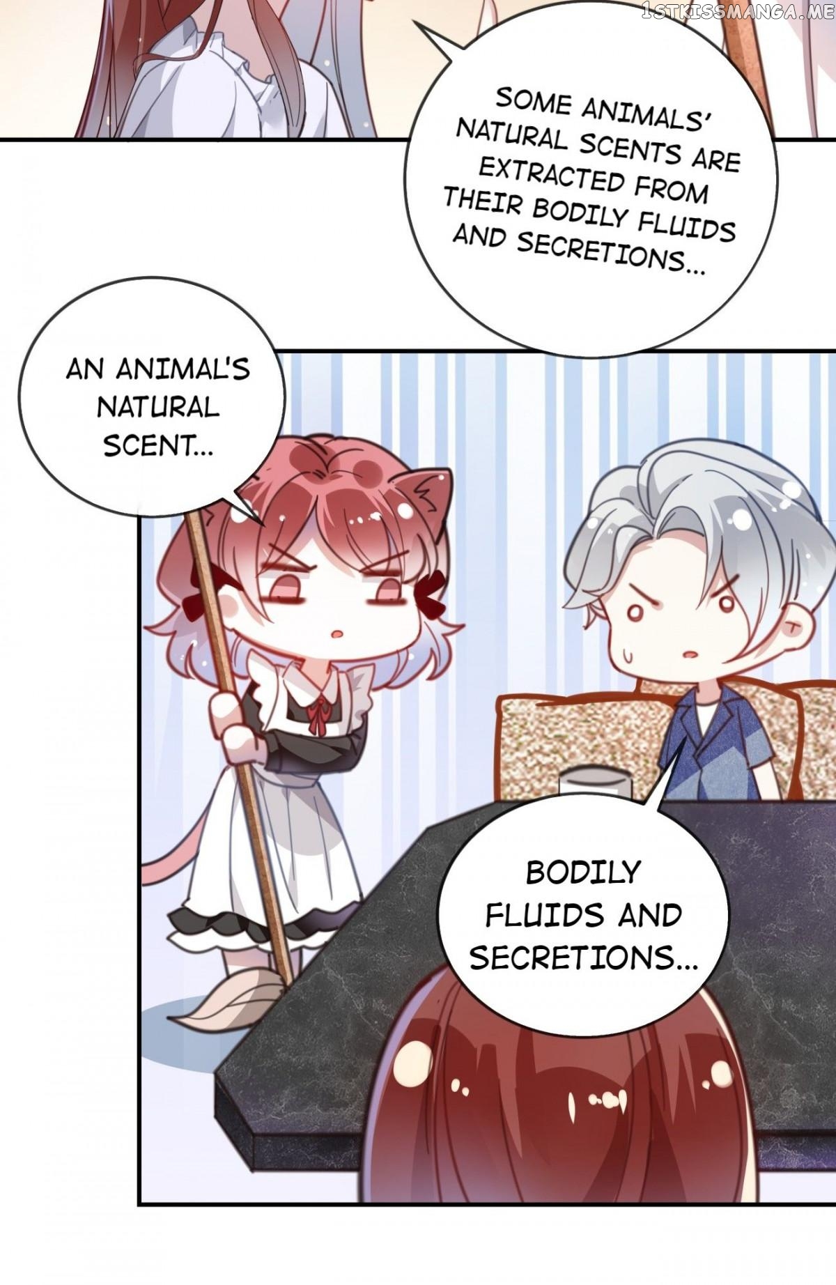 You Are My Catnip chapter 11 - page 17
