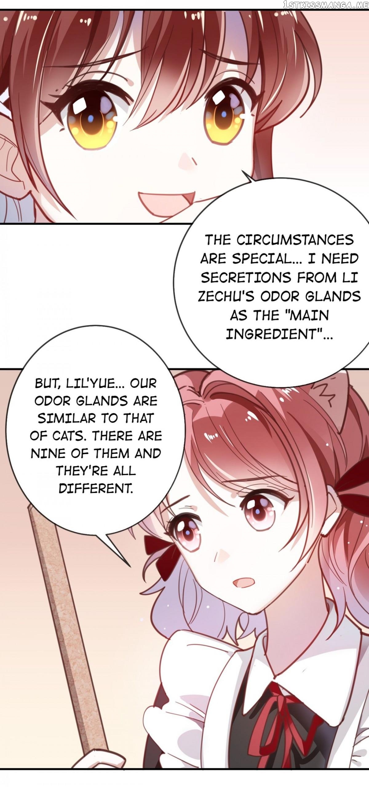 You Are My Catnip chapter 11 - page 19