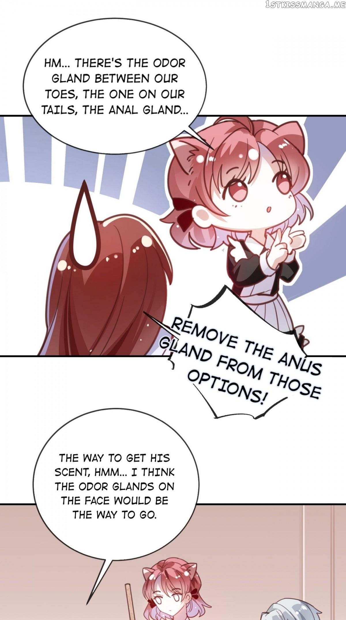You Are My Catnip chapter 11 - page 20