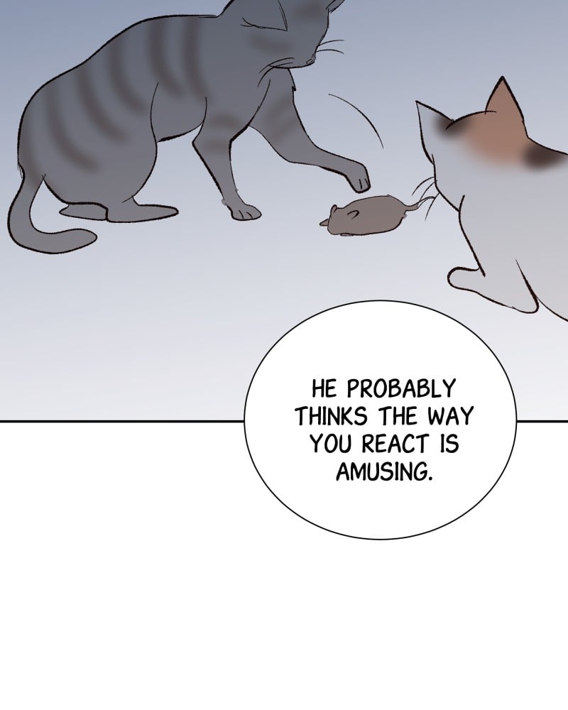 The Guy Upstairs Chapter 19 - page 14