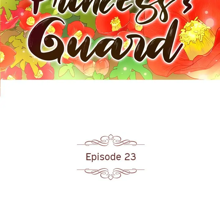 The Princess's Guard (official) Chapter 23 - page 11