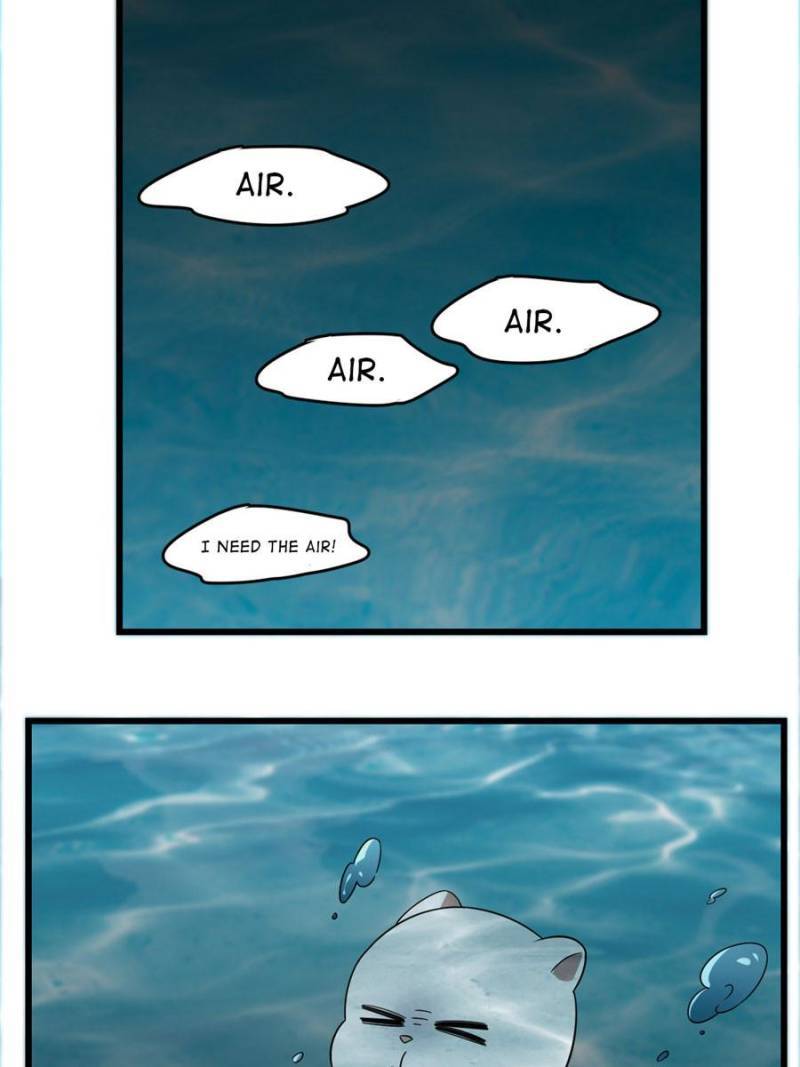 Queen of Posion: The Legend of a Super Agent, Doctor and Princess Chapter 144 - page 41