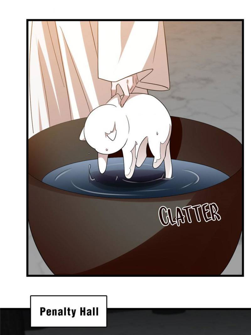 Queen of Posion: The Legend of a Super Agent, Doctor and Princess Chapter 144 - page 43