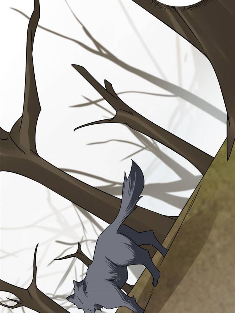 Queen of Posion: The Legend of a Super Agent, Doctor and Princess Chapter 156 - page 20