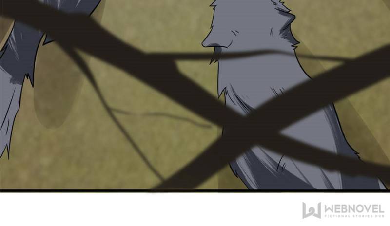 Queen of Posion: The Legend of a Super Agent, Doctor and Princess Chapter 156 - page 32