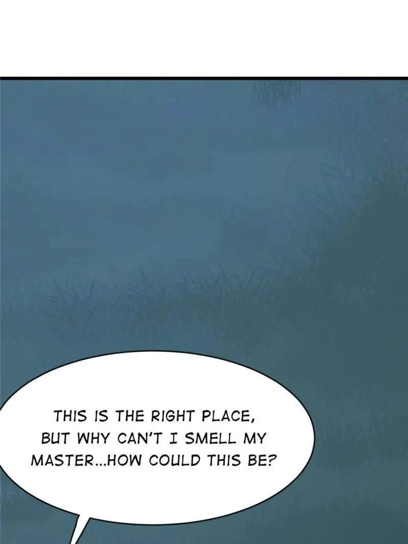 Queen of Posion: The Legend of a Super Agent, Doctor and Princess Chapter 112 - page 37