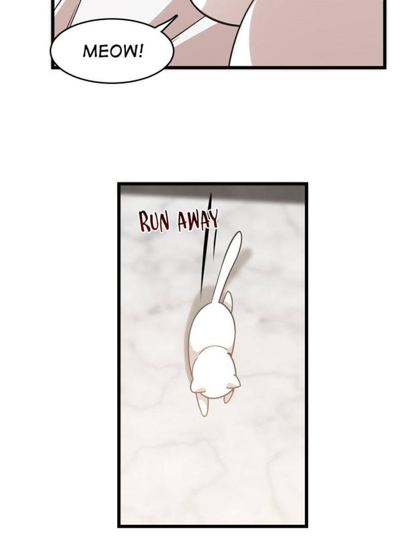 Queen of Posion: The Legend of a Super Agent, Doctor and Princess Chapter 138 - page 15