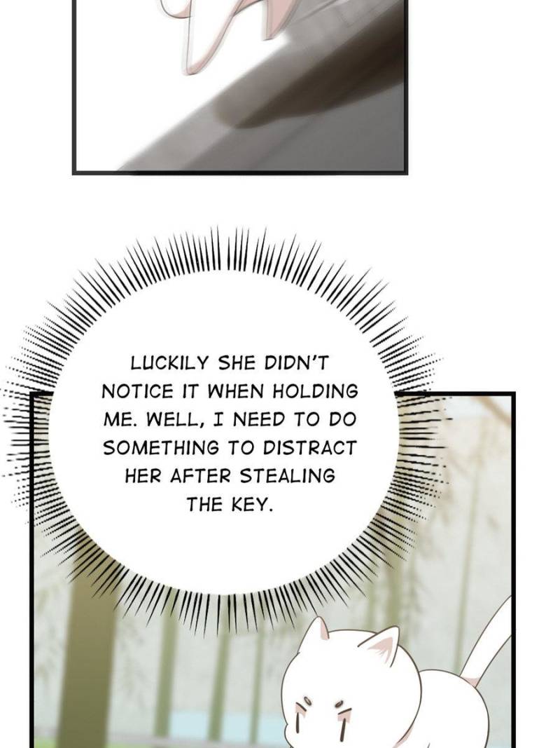 Queen of Posion: The Legend of a Super Agent, Doctor and Princess Chapter 138 - page 29