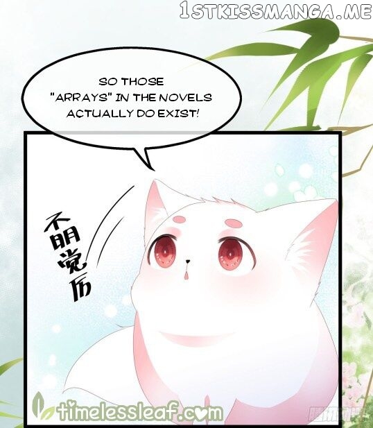 Fox Concubine, Don’t Play With Fire chapter 39.5 - page 11