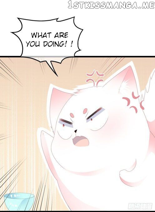Fox Concubine, Don’t Play With Fire chapter 45.5 - page 4
