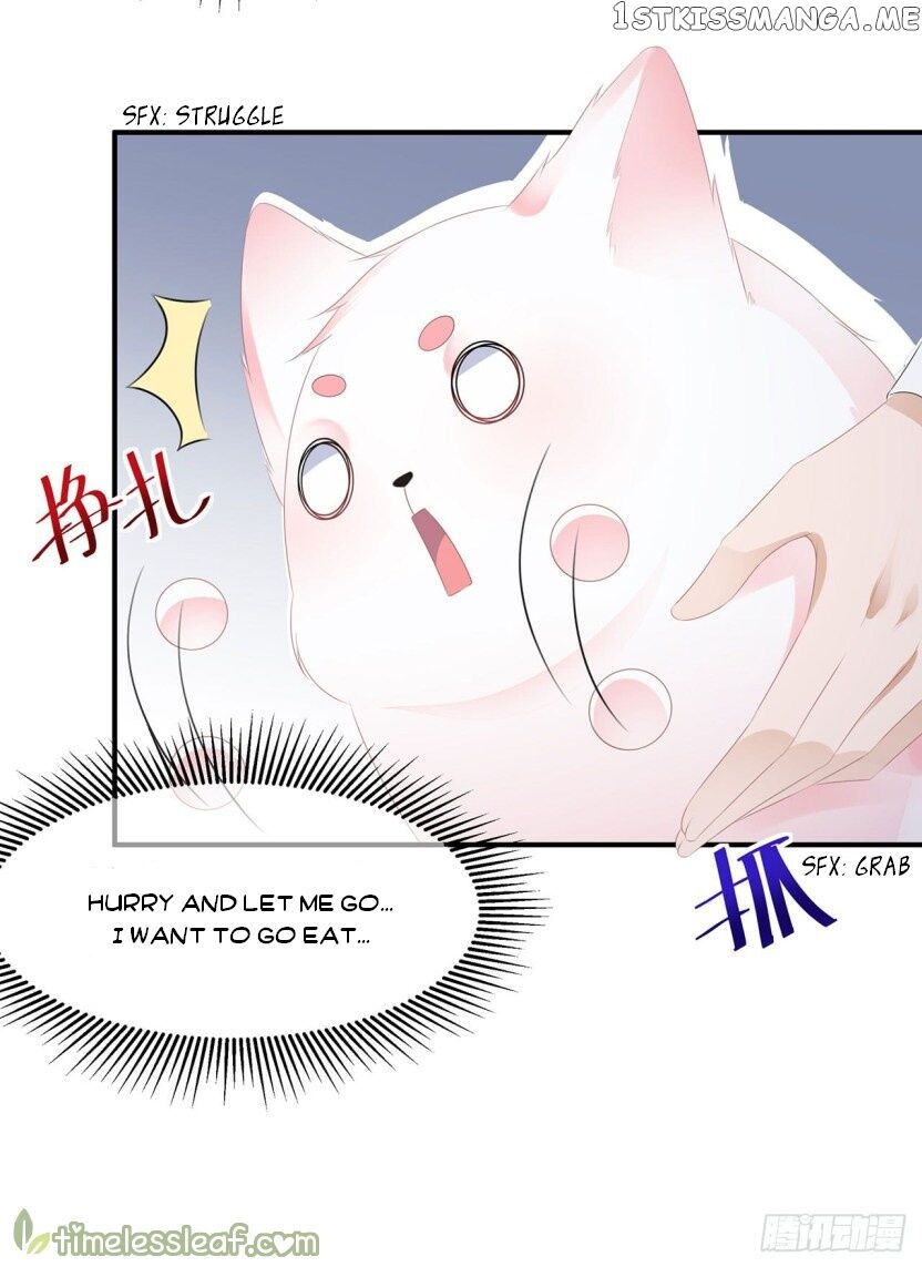 Fox Concubine, Don’t Play With Fire chapter 17.5 - page 11