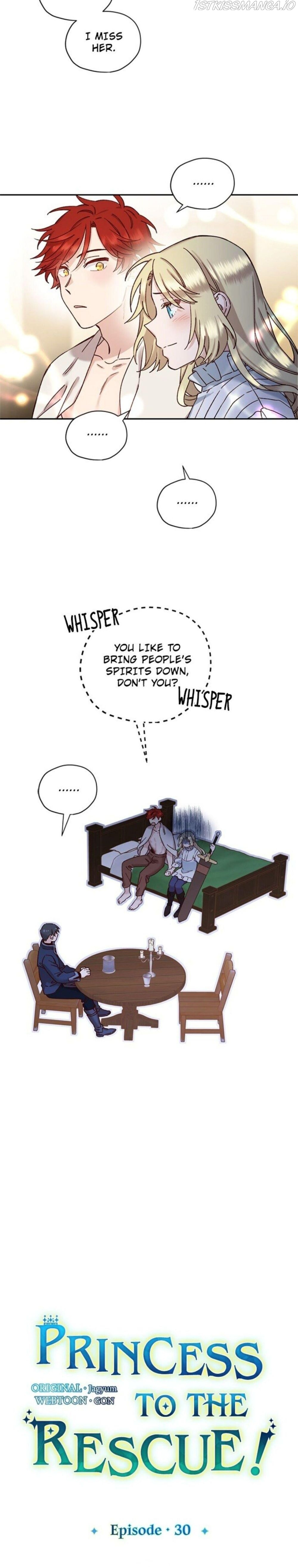 Princess to the Rescue! chapter 30 - page 4