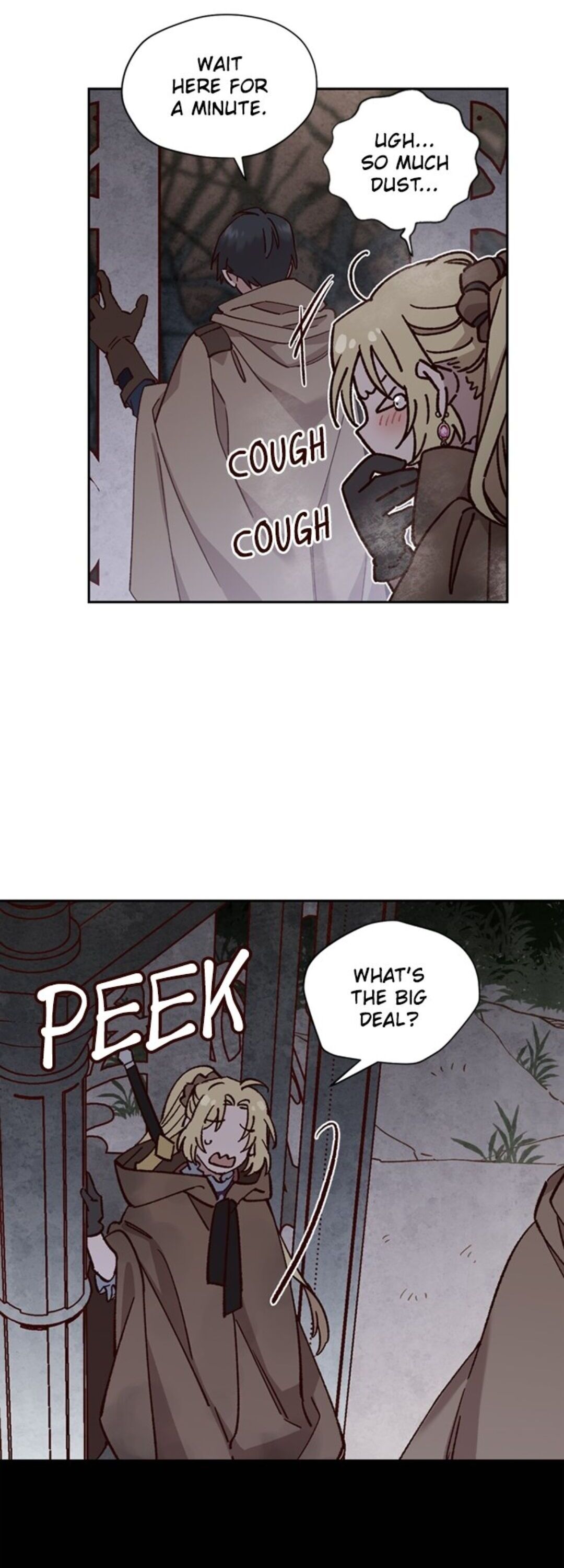 Princess to the Rescue! chapter 8 - page 27