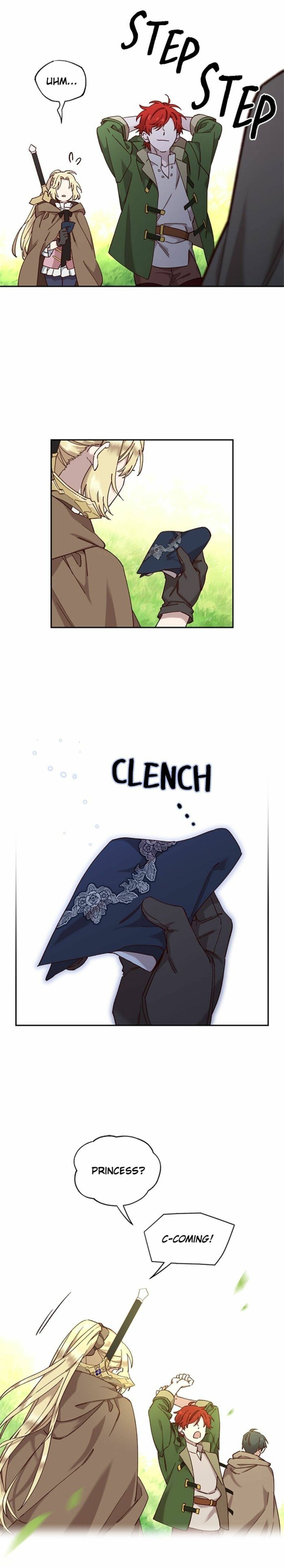 Princess to the Rescue! chapter 13 - page 21