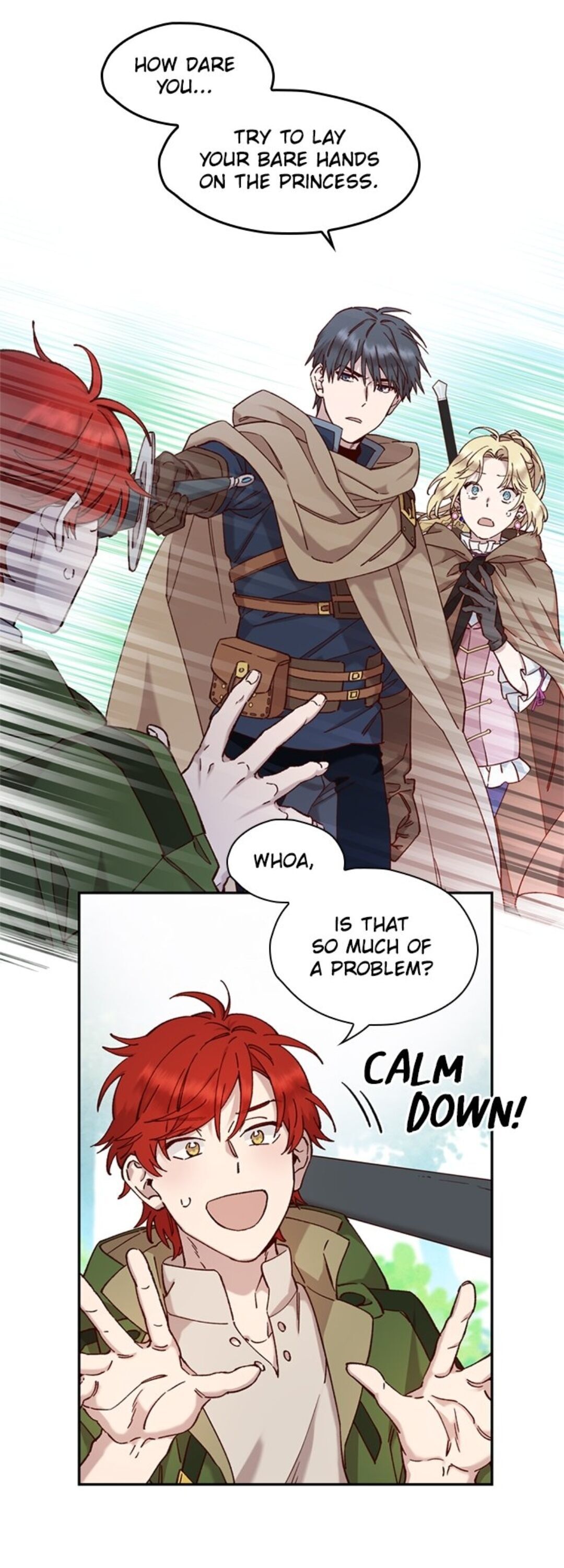 Princess to the Rescue! chapter 14 - page 1