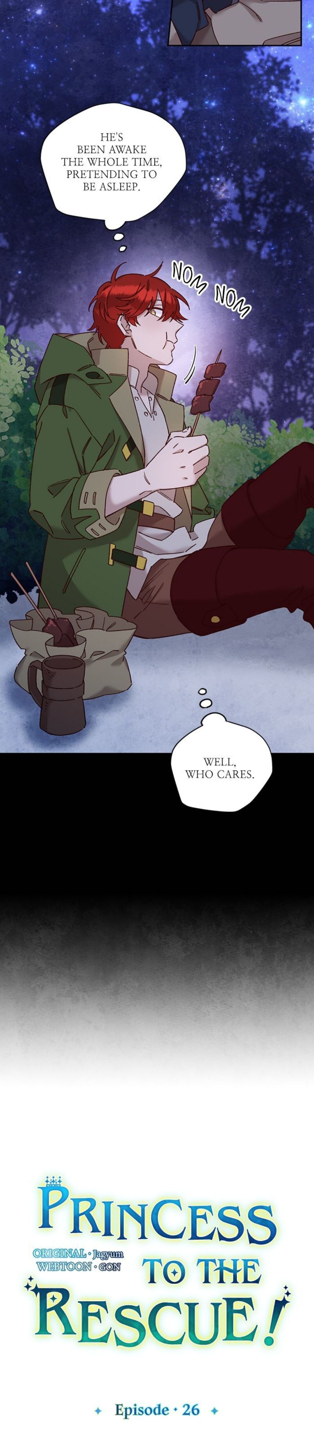 Princess to the Rescue! chapter 26 - page 17