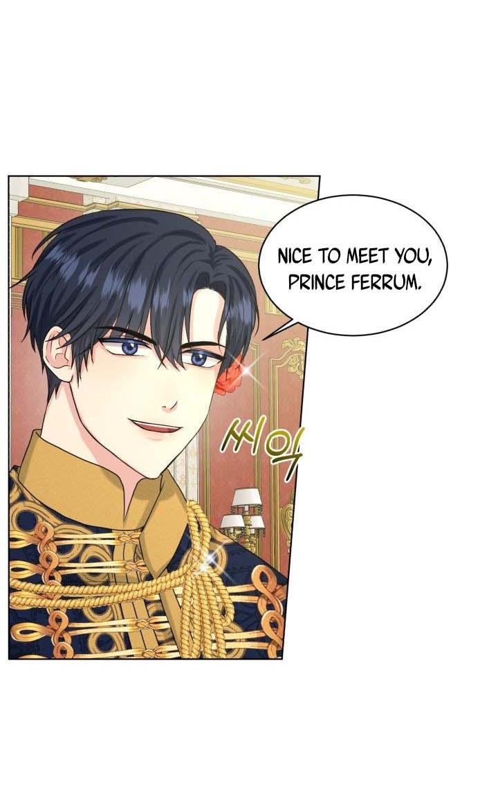 How to Get Rid of My Dark Past? chapter 34 - page 36
