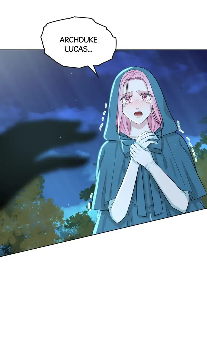 How to Get Rid of My Dark Past? Chapter 47 - page 43