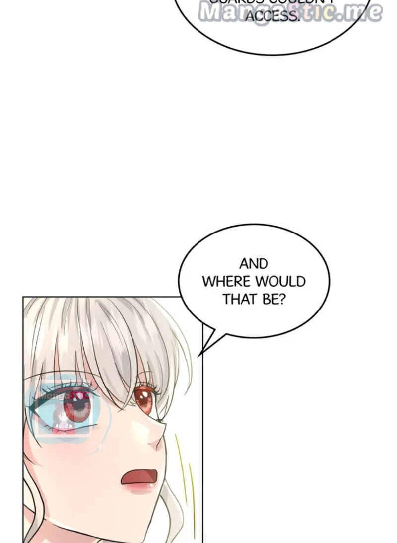 How to Get Rid of My Dark Past? Chapter 51 - page 101